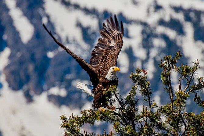 Lake Tahoe Small-Group Photography Scenic Half-Day Tour - What the guide actually does with your camera tips
