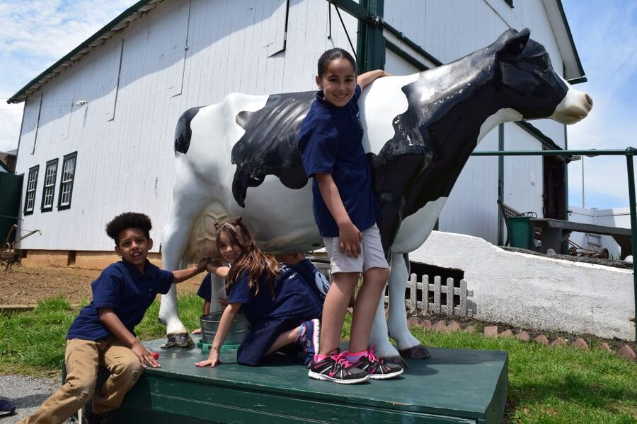 Lancaster County: Amish Farmlands, Museum Tour, Farm Visit - Meeting at the Farmhouse Next to Target (Yes, Really)