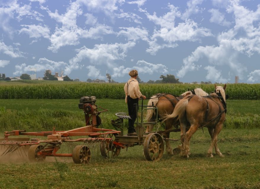 Lancaster County: Amish Farmlands, Museum Tour, Farm Visit - Cameras, Rules, and How to Get the Most Out of Your Time