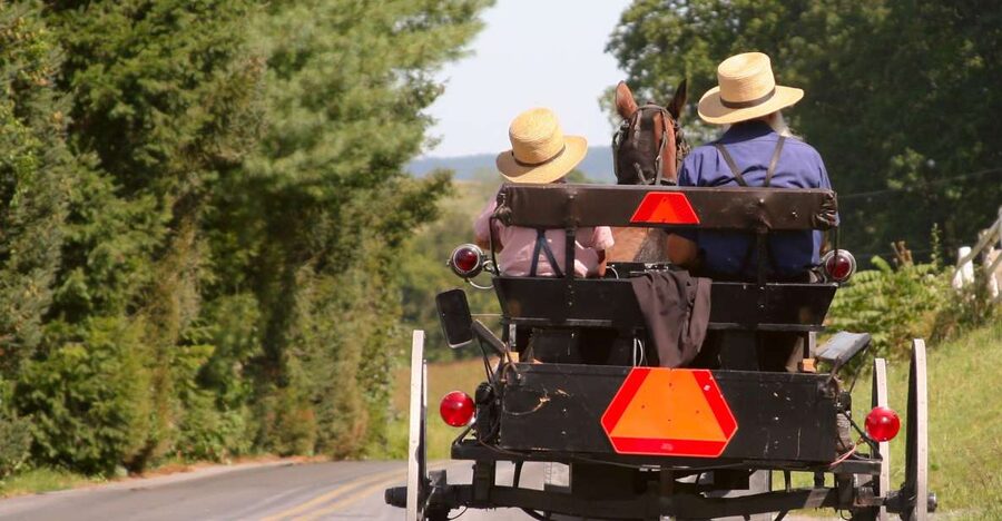 Lancaster County: Amish Farmlands, Museum Tour, Farm Visit - The 14-Passenger Bus Tour Through Amish Farmlands