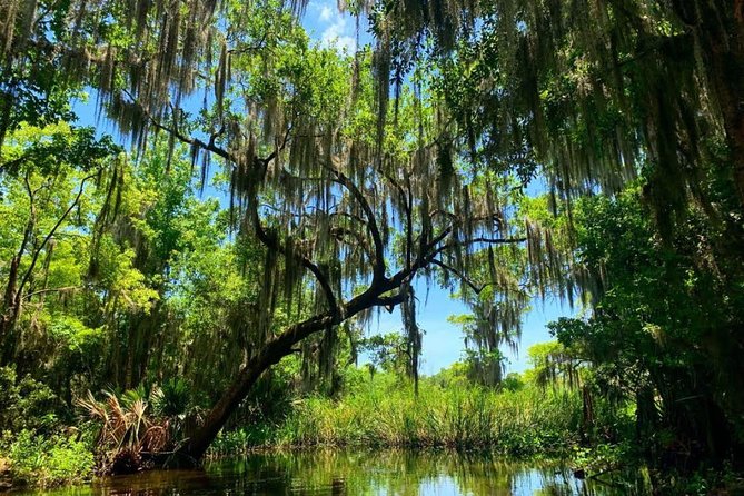 Large Airboat Swamp Tour with Transportation from New Orleans - The 35-Minute Mississippi Drive: Why the Van Ride Matters