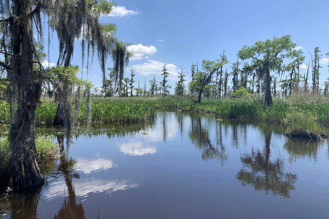 Large Airboat Swamp Tour with Transportation from New Orleans - Price and Value: When It Feels Worth It, and When It Does Not