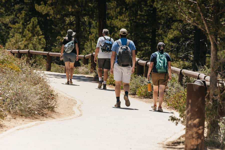 Las Vegas: Bryce and Zion National Parks Tour with Lunch - Should You Book This Zion and Bryce Tour?