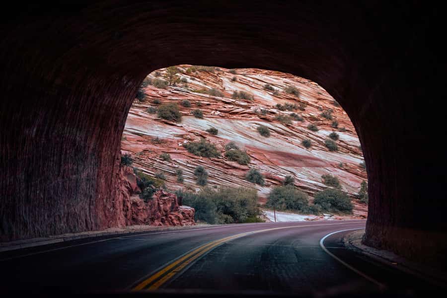 Las Vegas: Bryce and Zion National Parks Tour with Lunch - Why Zion and Bryce Feel Like Two Different Worlds
