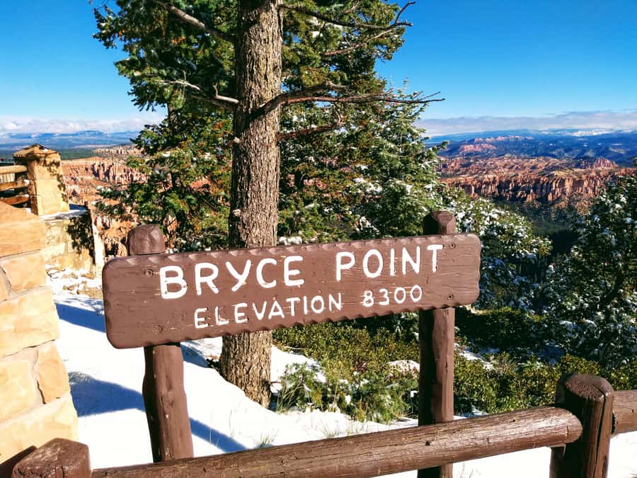 Las Vegas: Bryce and Zion National Parks Tour with Lunch - Bryce Canyon: Rim Views, Hoodoos Up Close, and a Guided Taste Hike