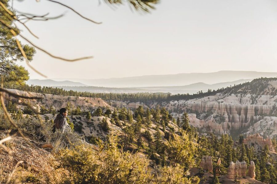 Las Vegas: Grand Canyon National Park South Rim Guided Tour - Bright Angel Point, Lodge Area, and the Best Way to Use Your Free Time