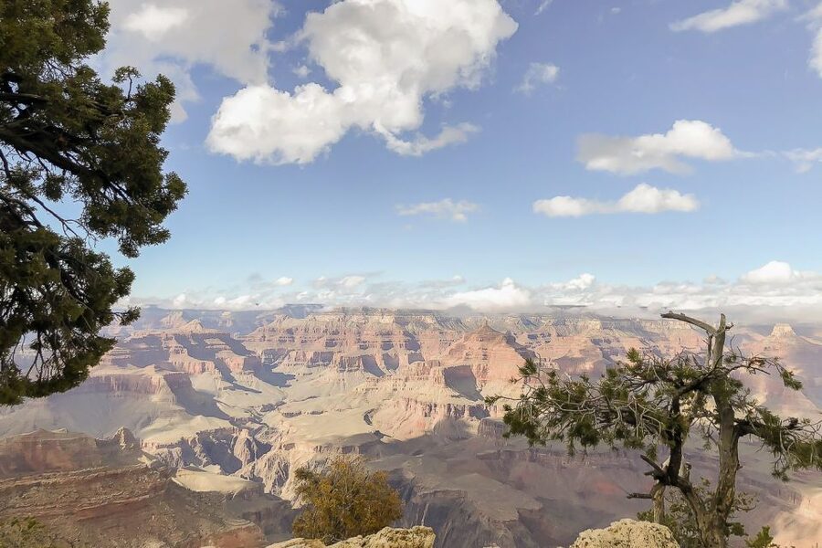 Las Vegas: Grand Canyon National Park South Rim Guided Tour - The Bus Comfort Details That Matter on a 15-Hour Day