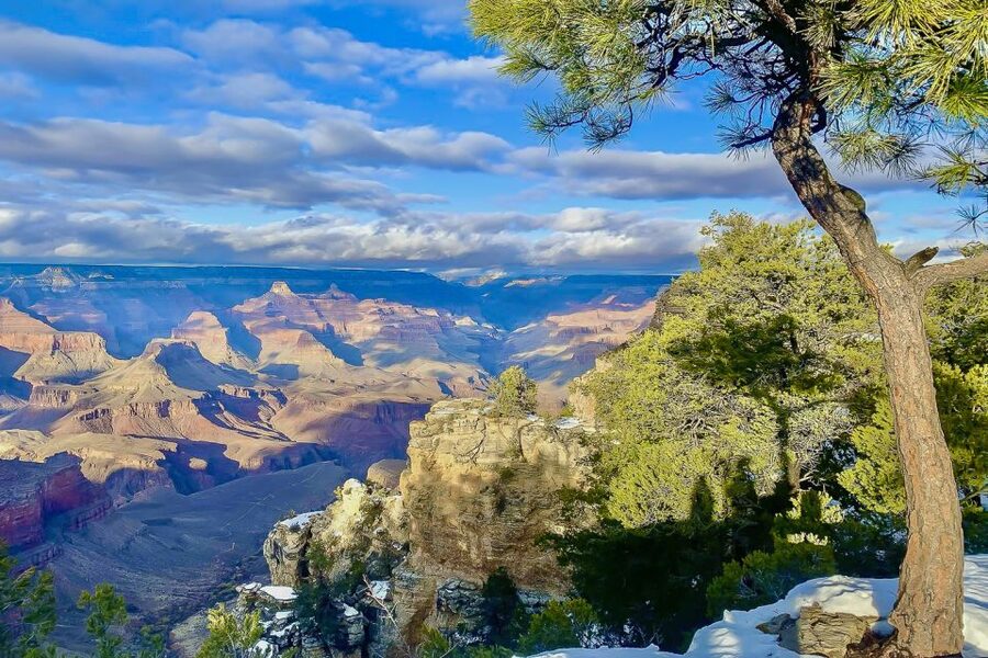 Las Vegas: Grand Canyon National Park South Rim Guided Tour - Food Stops, Lunch Choices, and the 30-Minute Dinner Break