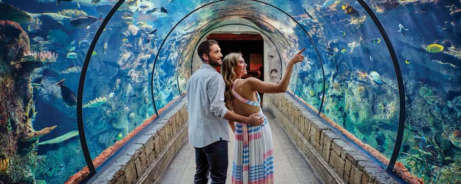 Las Vegas: Shark Reef Aquarium Entry Ticket - Key highlights you will actually care about