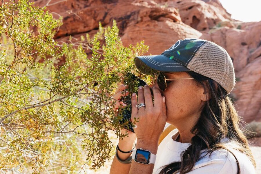 Las Vegas: Valley of Fire Guided Hike with Drinks and Snacks - What you’ll see: petroglyph walls, natural arches, and ancient Nevada