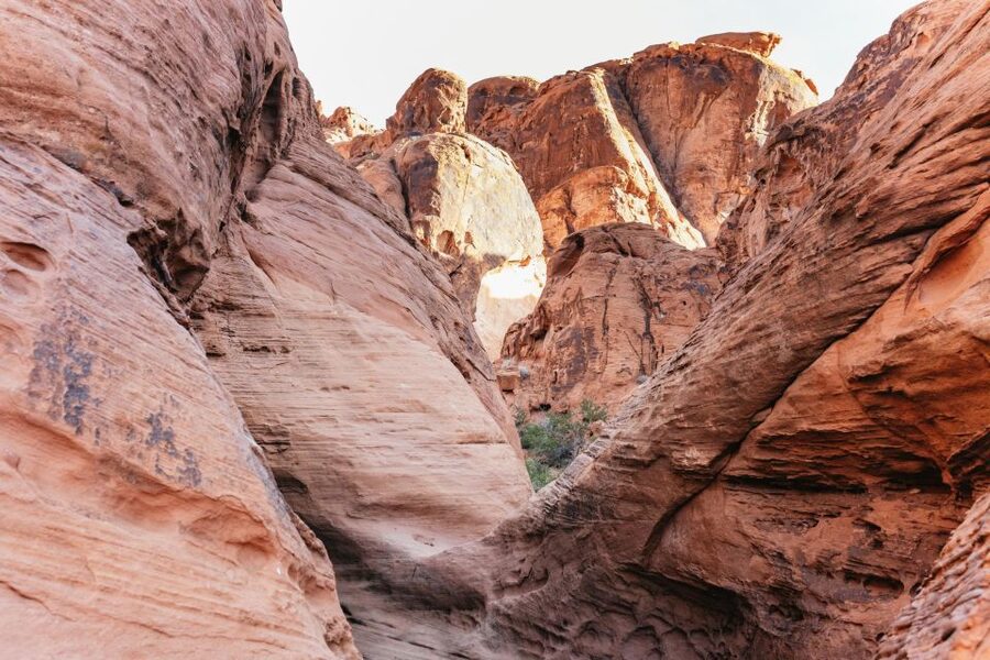 Las Vegas: Valley of Fire Guided Hike with Drinks and Snacks - What’s included, and why snacks and drinks matter