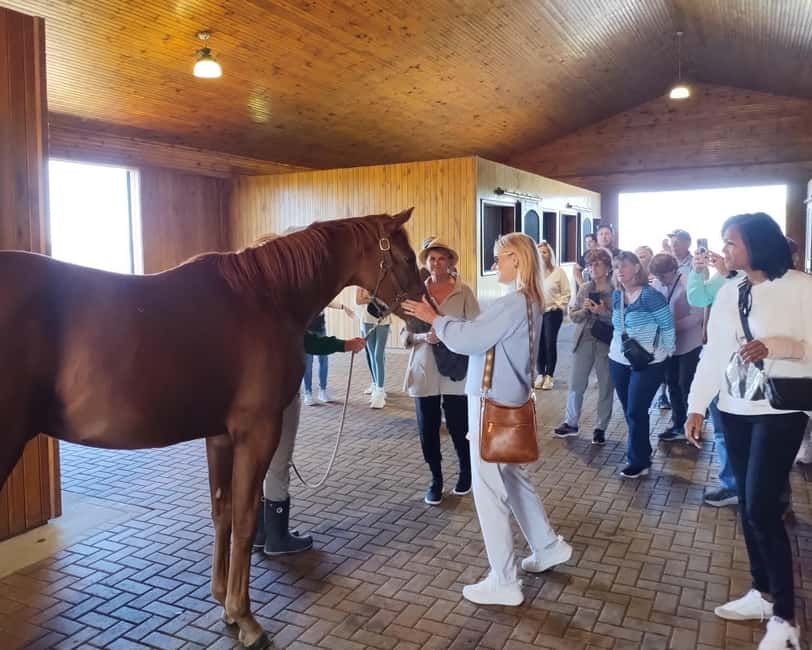 Lexington: Thoroughbred Horse Farm Tour and Scenic Bluegrass - Lexington, Kentucky, and the Thoroughbred Machine You See Up Close
