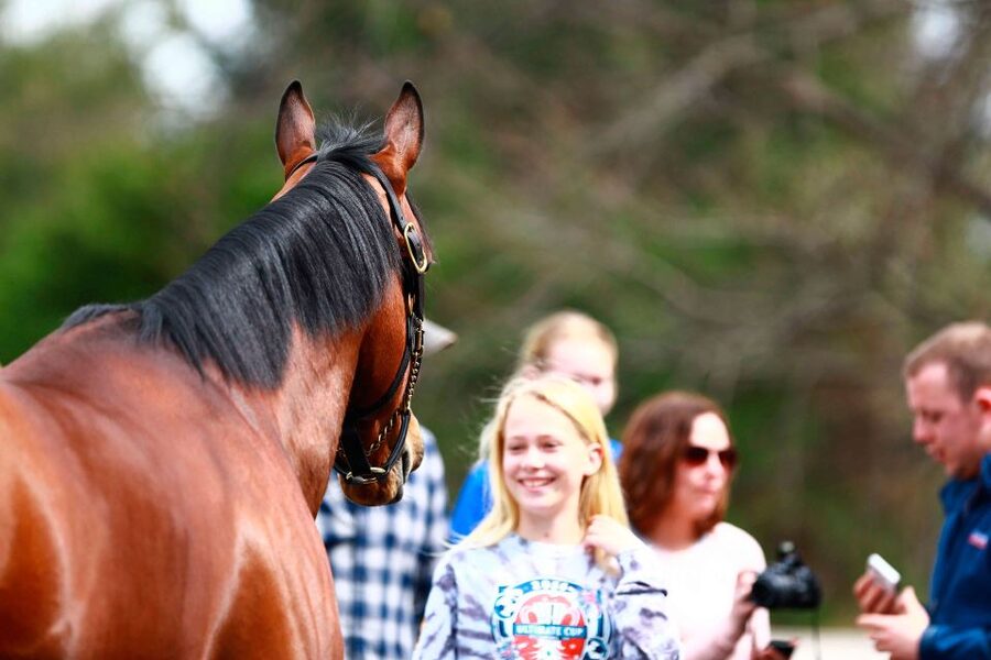 Lexington: Thoroughbred Horse Farm Tour and Scenic Bluegrass - The Narration That Connects Horse Racing, Breeding, Training, and Lexington Life