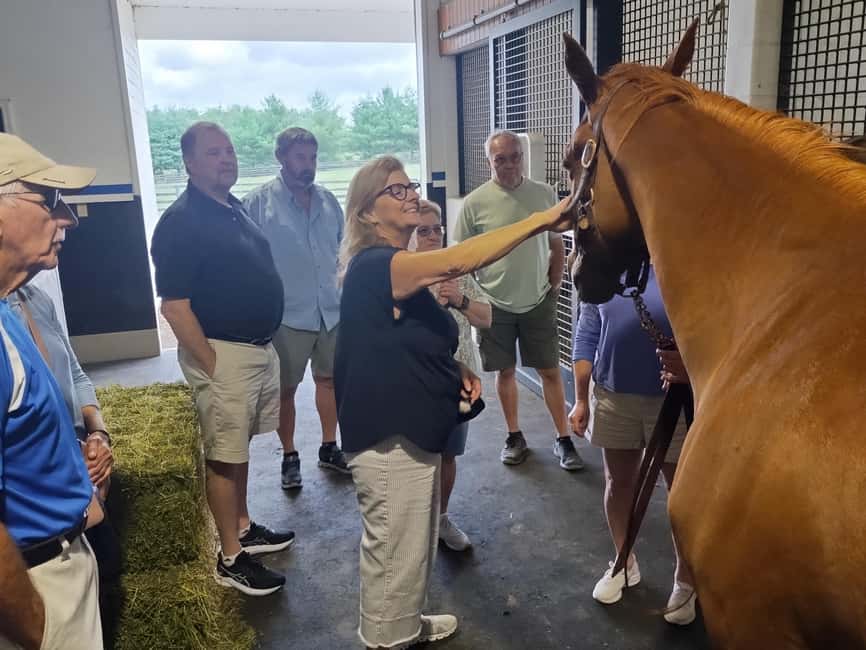 Lexington: Thoroughbred Horse Farm Tour and Scenic Bluegrass - Small Van, Real Interaction: How the Group Size Helps