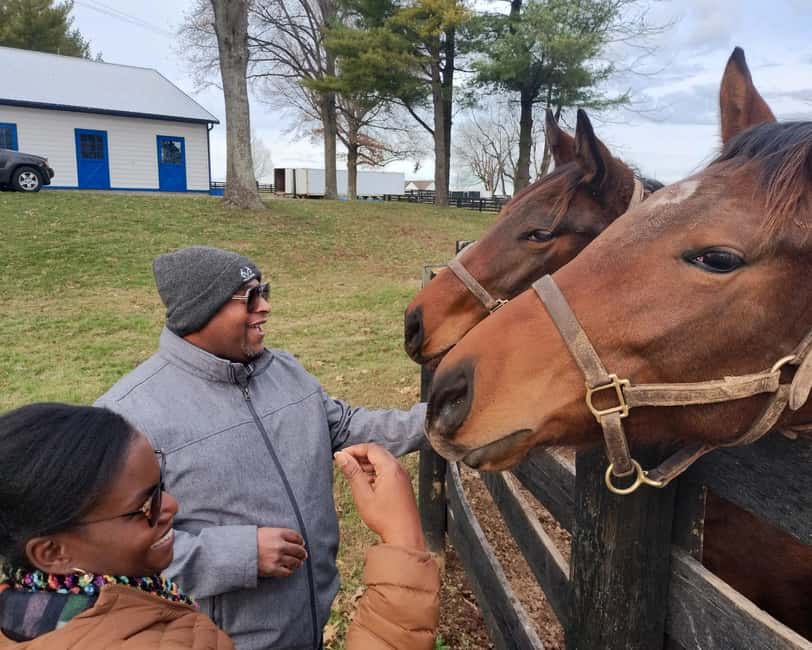 Lexington: Thoroughbred Horse Farm Tour and Scenic Bluegrass - Who This Tour Fits Best (and Who Should Think Twice)