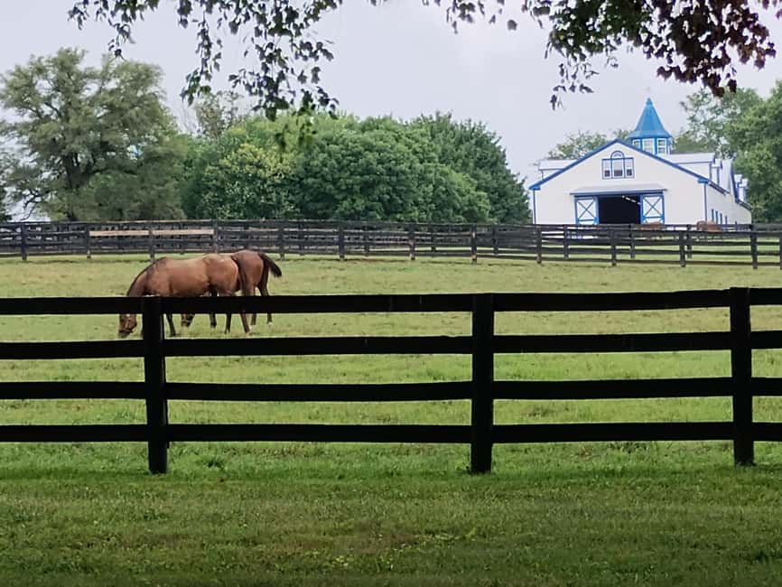 Lexington: Thoroughbred Horse Farm Tour and Scenic Bluegrass - Meeting at the Thoroughbred Heritage Visitors Center and Getting the Most Out of 210 Minutes