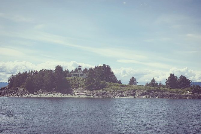 Lighthouse, Totems & Eagles Excursion (Ketchikan) - Ward Cove pulp-mill leftovers, seen up close from the dock