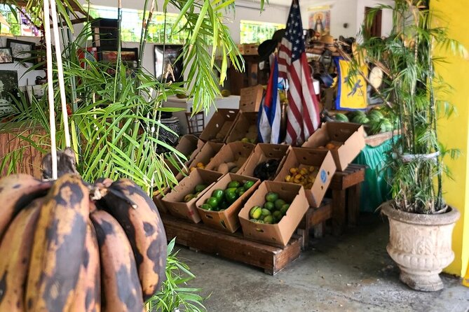 Little Havana: Authentic Food and Culture Walking Tour - Food stops across restaurants: what makes each one special