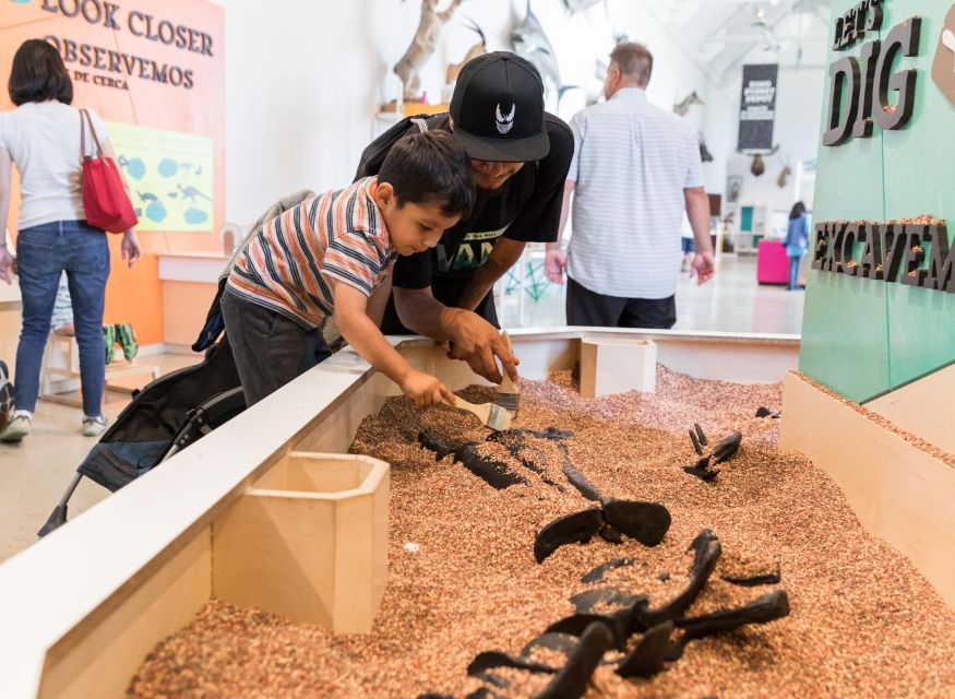 Los Angeles: Natural History Museum of LA Entry Ticket - What the Day Feels Like: Suggested Flow for 1 Ticket