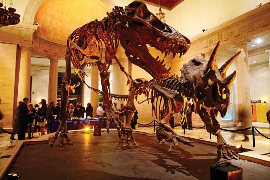 Los Angeles: Natural History Museum of LA Entry Ticket - Price and Value for an LA Full-Day Museum Stop
