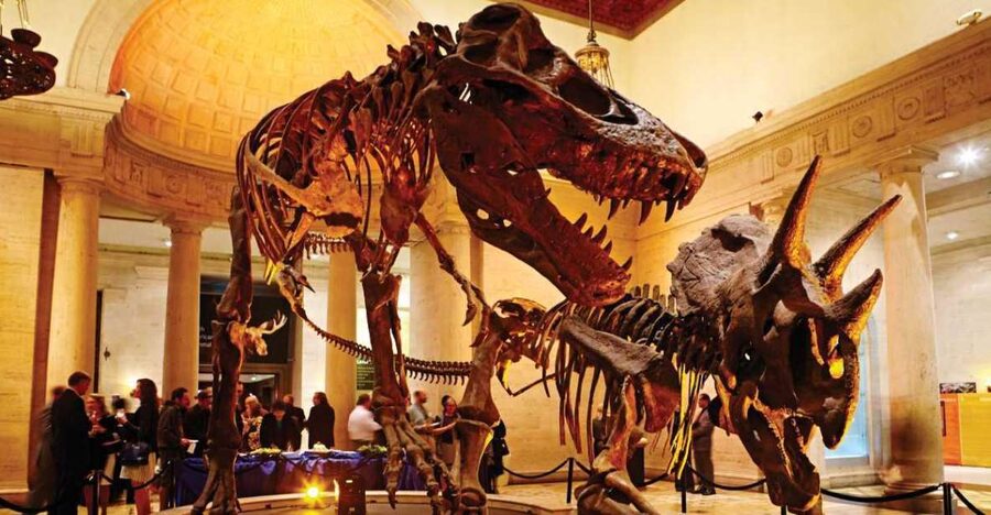Los Angeles: Natural History Museum of LA Entry Ticket - Getting In Smoothly: Entrances, eTicket, and First Steps