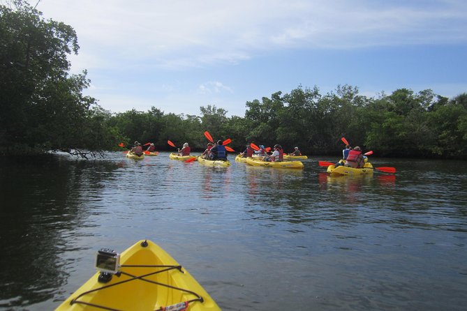 Lovers Key Guided Eco Tour-Mangrove Estuary - Lovers Key State Park, Mangroves, and Wildlife Viewing