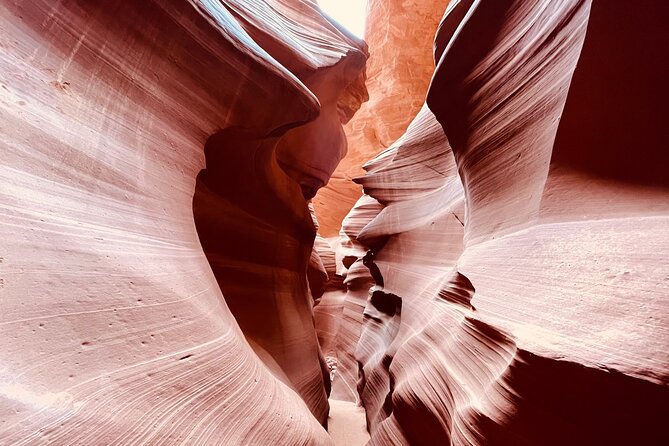 Lower Antelope Canyon and Horseshoe Bend Day Tour with Lunch - Lower Antelope Canyon with Navajo guidance and ladder steps