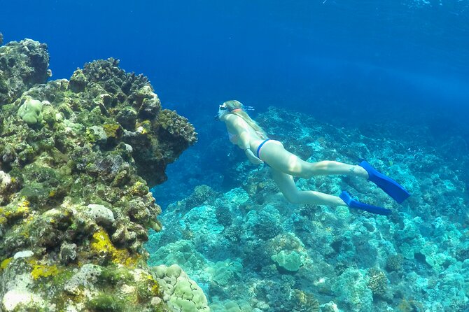 Luxury Kona Coast Snorkel Tour Including Lunch - Paddleboards, showers, and the little comfort wins