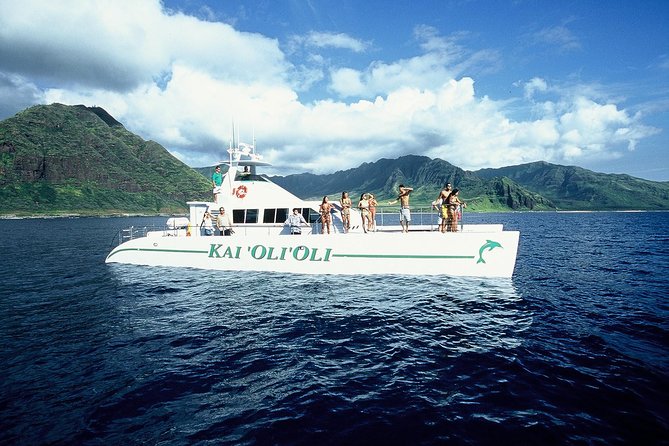 Luxury Snorkel Cruise, Local Buffet with Whale & Dolphin Watch - Key Highlights You Should Know