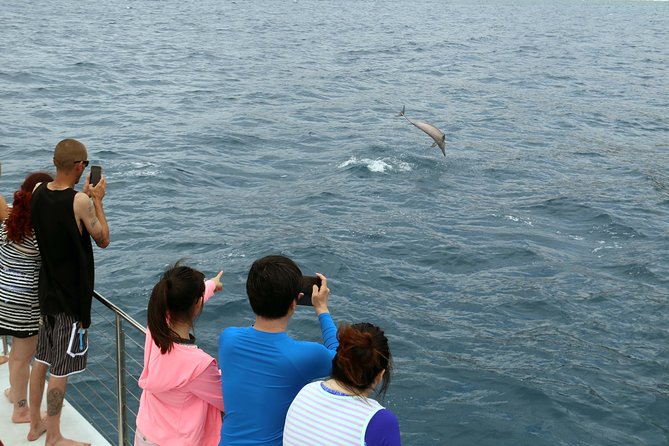 Luxury Snorkel Cruise, Local Buffet with Whale & Dolphin Watch - Getting There From Waikiki: Pickup That Saves Your Energy