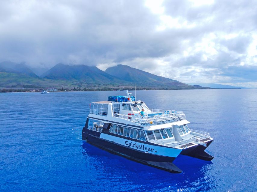 Ma'alaea Harbor: Whale Watching Tour Aboard Power Catamaran - Why Maalaea Harbor works for humpbacks (and when to go)