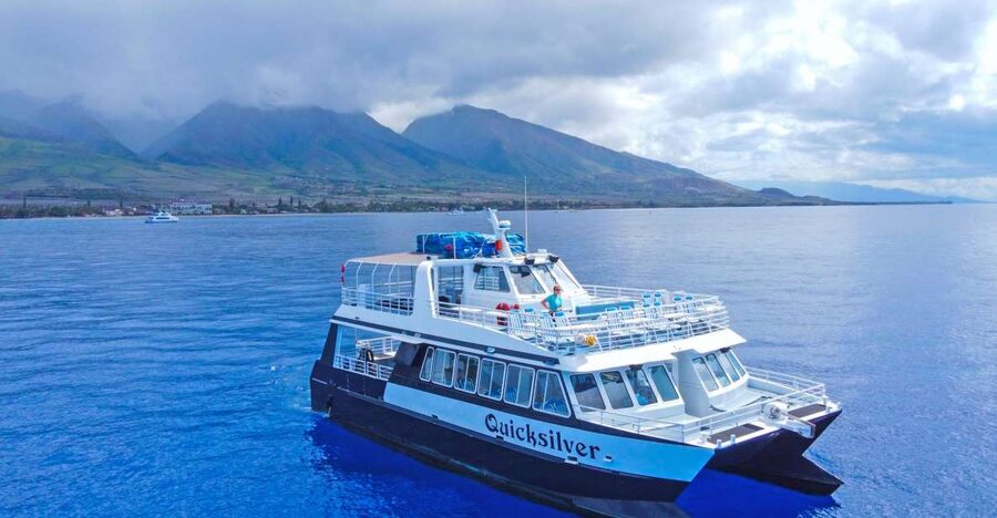 Ma'alaea Harbor: Whale Watching Tour Aboard Power Catamaran - Double-deck catamaran comfort: where you should sit for the best views