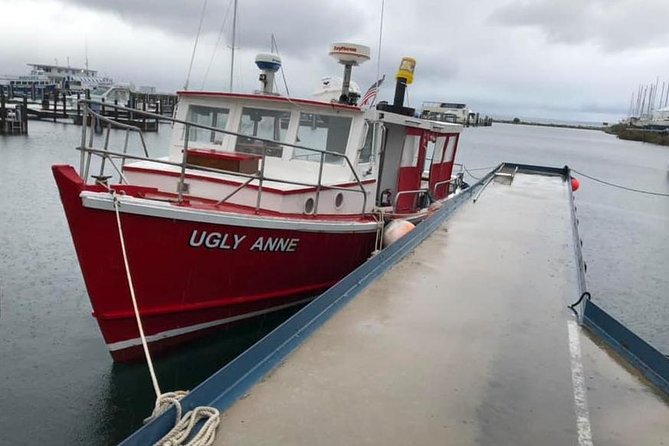 Mackinaw City Sunset Cruise - Drinks, age rules, and how to keep the evening comfortable