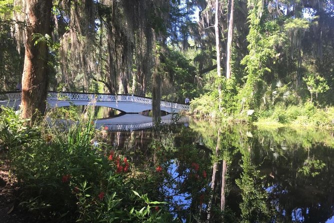 Magnolia Plantation Admission & Tour with Transportation from Charleston - Slave Cabins, Rice Fields, and Plantation History That Actually Has Shape