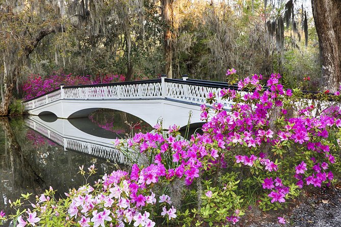 Magnolia Plantation Admission & Tour with Transportation from Charleston - The 45-Minute Narrated Tram Ride Through Audubon Swamp Gardens