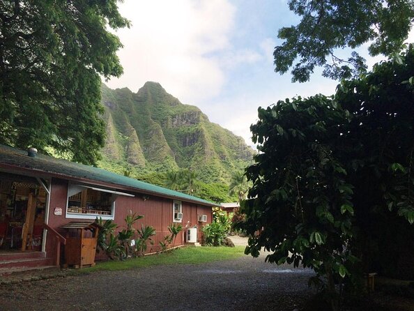 Majestic Circle Island Tour with Lunch - Price and What You Get for $181.15: Pickup, Entrances, and Lunch