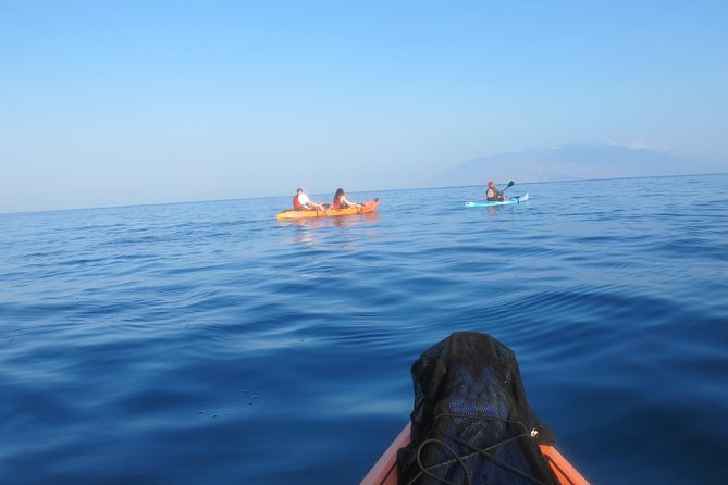 Makena Turtle Town Eco Adventure in Maui - Price and Value: Why $99 Feels Fair for 3 Hours