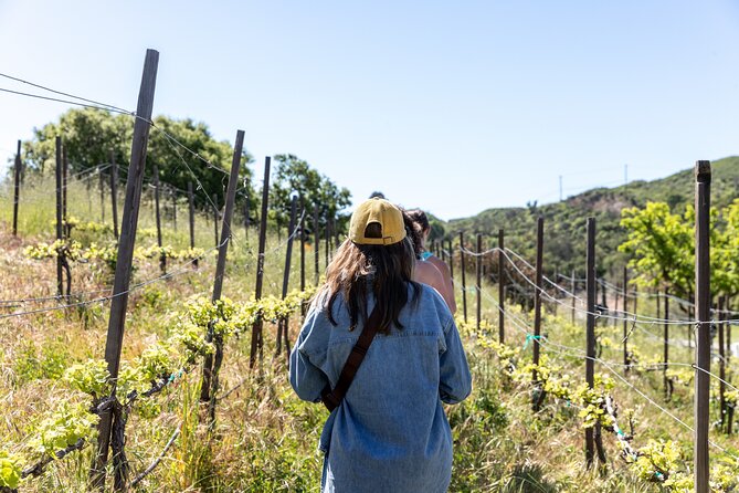 Malibu: Guided Vineyard Hike with Photo Stops and Wine - Quick take before you lace up