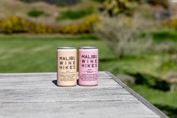 Malibu: Guided Vineyard Hike with Photo Stops and Wine - Views over Malibu hills: how to expect the hike to feel