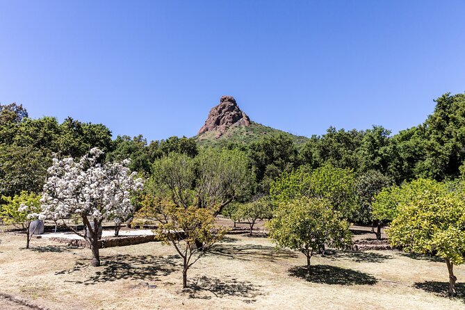 Malibu: Guided Vineyard Hike with Photo Stops and Wine - Logistics you should not ignore: weather, group size, and terrain limits
