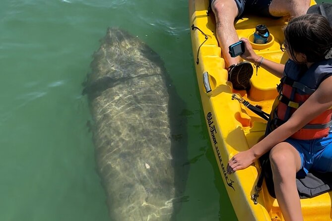 Manatee Discovery Anna Maria Island - Stops that turn a paddle into real memories