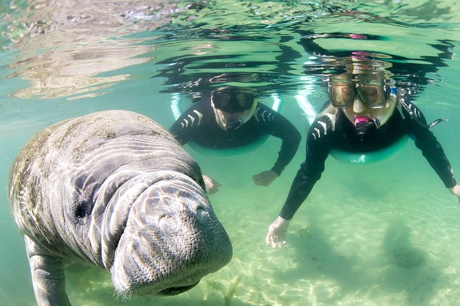 Manatee Snorkel Small Group Tour - Your Guide and Captain Team: A Big Part of the Experience