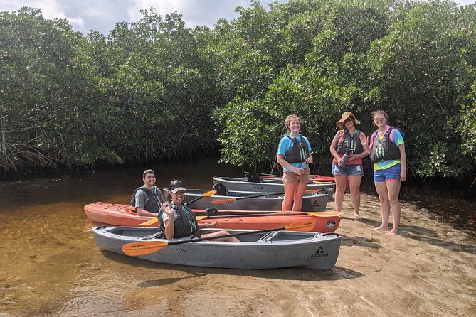 Manatees and Mangrove Tunnels Small Group Kayak Tour - Price and Value: Does $95 Make Sense Here?