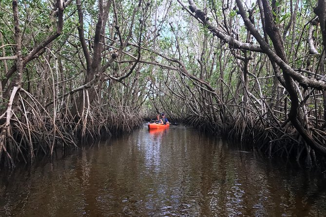Manatees and Mangrove Tunnels Small Group Kayak Tour - Planning Your Day in Naples: Stops and What Each Adds