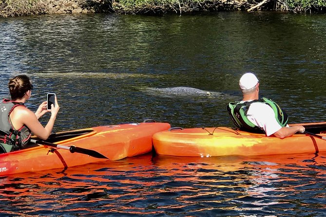 Manatees and Mangrove Tunnels Small Group Kayak Tour - Downwinder Kayaking: The Shuttle and Paddle Plan (How It Works)