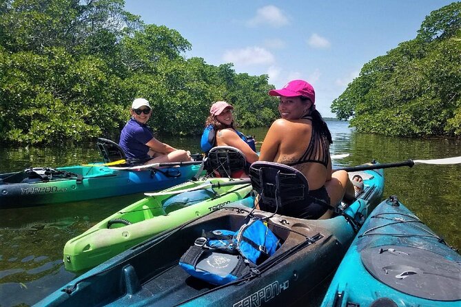 Mangrove Tunnel Kayak Adventure in Key Largo - Learning Mangroves While You Paddle Through the Tunnels