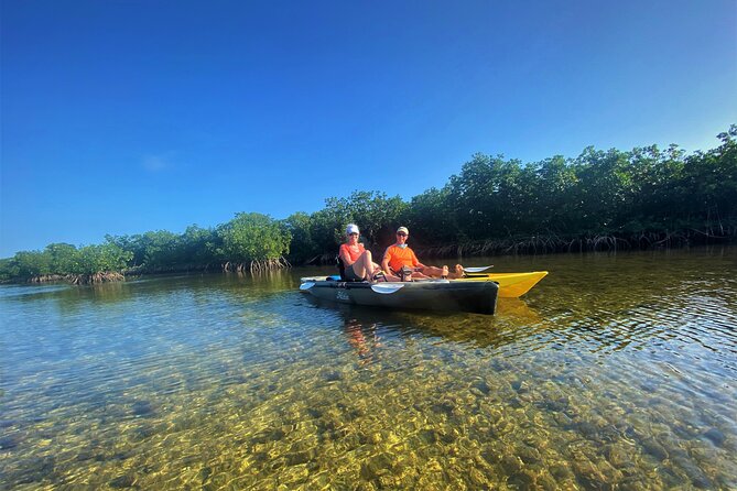 Mangrove Tunnel Kayak Adventure in Key Largo - Optional Snorkel Time in Clear Key Largo Water
