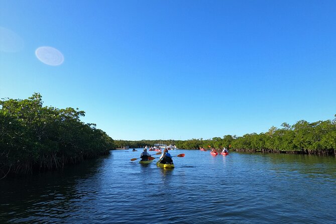 Mangrove Tunnel Kayak Adventure in Key Largo - Kayaks, Pacing, and Group Size (Up to 10)
