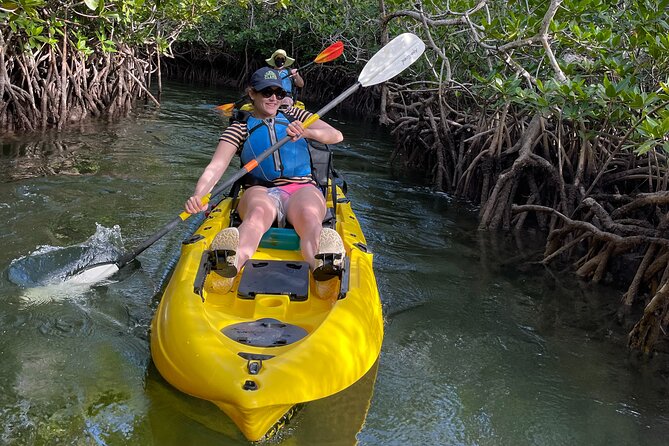 Mangrove Tunnel Kayak Adventure in Key Largo - Weather, Bugs, and Comfort Tips That Actually Help