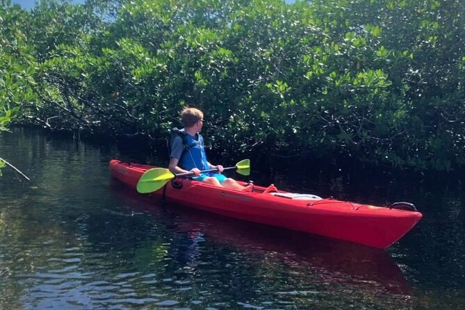 Mangrove Tunnel Kayak Adventure in Key Largo - Who This Tour Is Perfect For, and Who Might Want to Rethink